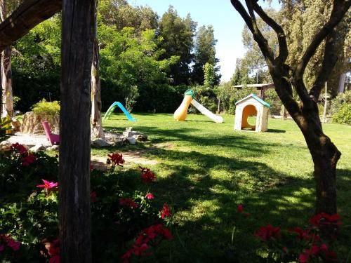 Outdoor Pictures 7