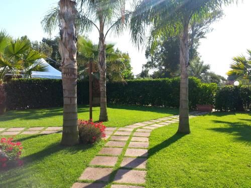 Outdoor Pictures 11