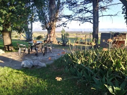 Outdoor Pictures 7