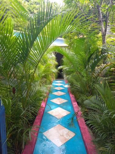 Outdoor Pictures 9