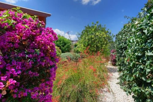 Outdoor Pictures 7