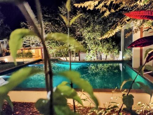 Outdoor Pictures 15