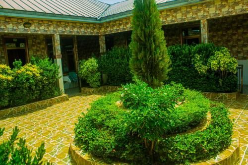 Outdoor Pictures 22