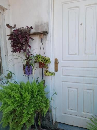 Outdoor Pictures 4