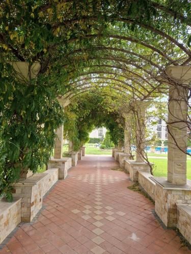 Outdoor Pictures 17