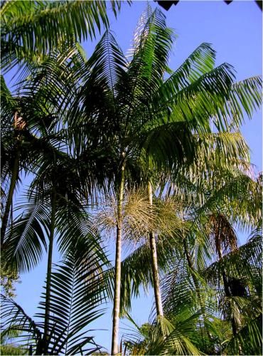 Outdoor Pictures 5
