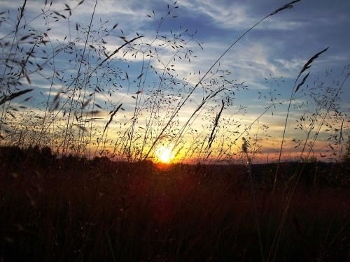 Outdoor Pictures 6
