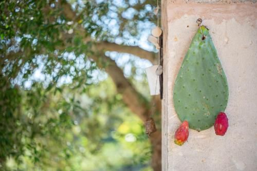 Outdoor Pictures 21