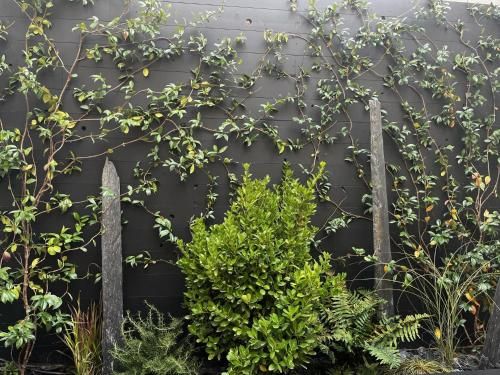 Outdoor Pictures 15