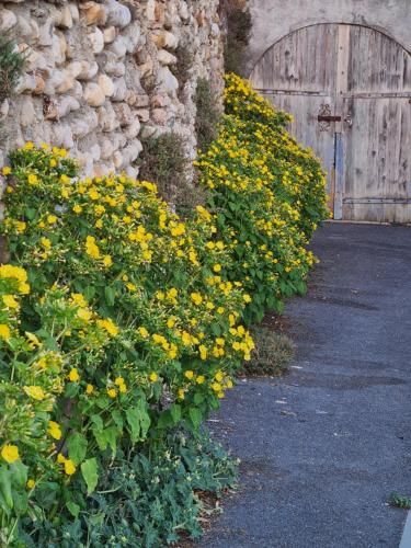 Outdoor Pictures 22