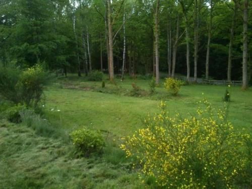 Outdoor Pictures 7