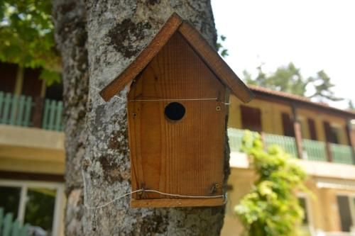 Outdoor Pictures 15