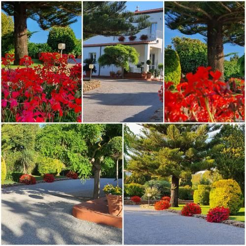 Outdoor Pictures 21