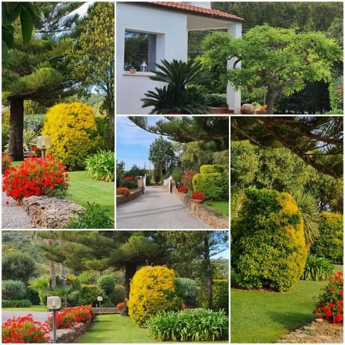 Outdoor Pictures 22