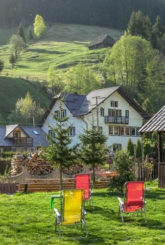 Outdoor Pictures 9