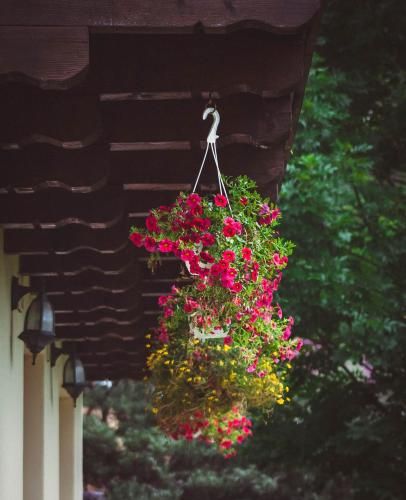 Outdoor Pictures 2