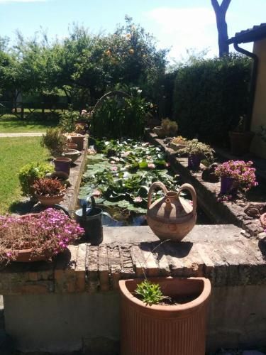 Outdoor Pictures 3