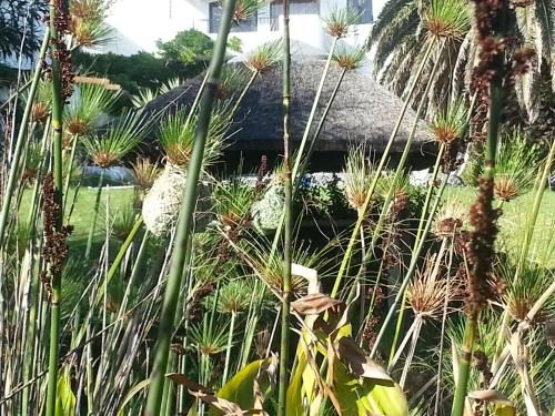 Outdoor Pictures 23