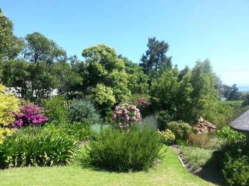 Outdoor Pictures 24