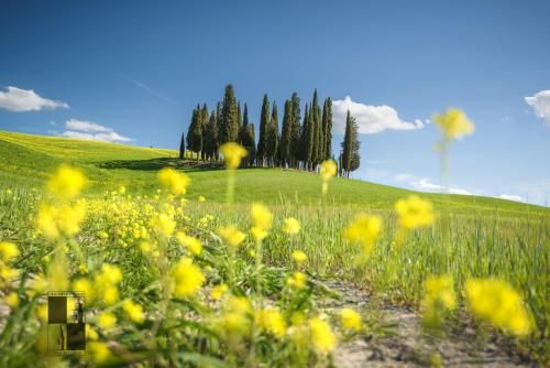 Outdoor Pictures 17
