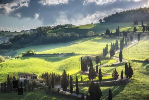 Outdoor Pictures 20