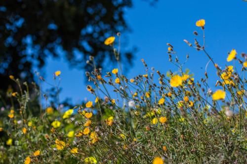 Outdoor Pictures 16
