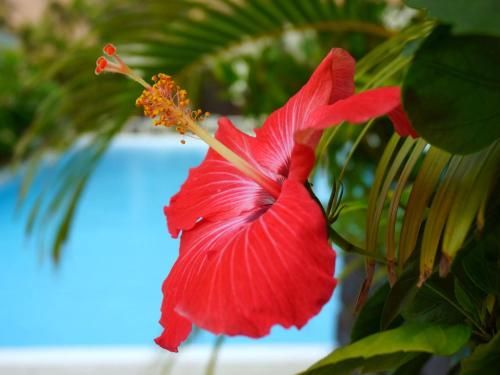 Outdoor Pictures 20