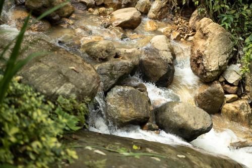 Outdoor Pictures 23