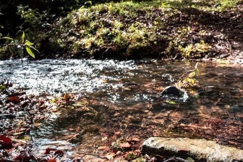 Outdoor Pictures 9