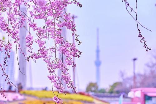 Outdoor Pictures 23