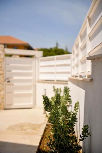 Outdoor Pictures 21