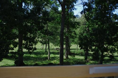 Outdoor Pictures 15