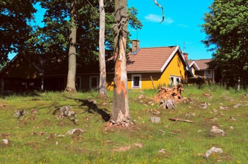 Outdoor Pictures 24