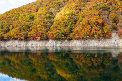 Outdoor Pictures 24