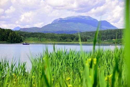 Outdoor Pictures 21