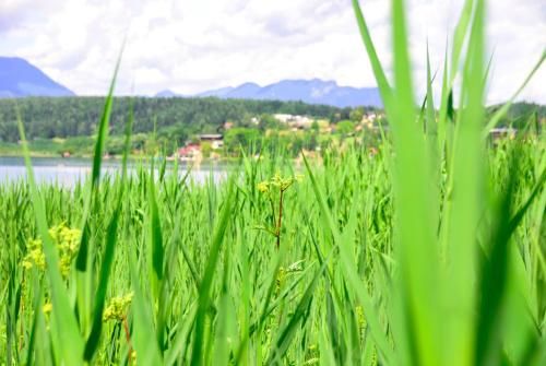 Outdoor Pictures 23