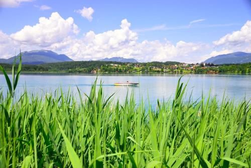 Outdoor Pictures 24