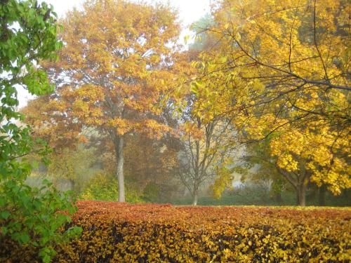 Outdoor Pictures 23