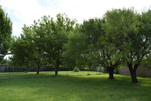 Outdoor Pictures 23