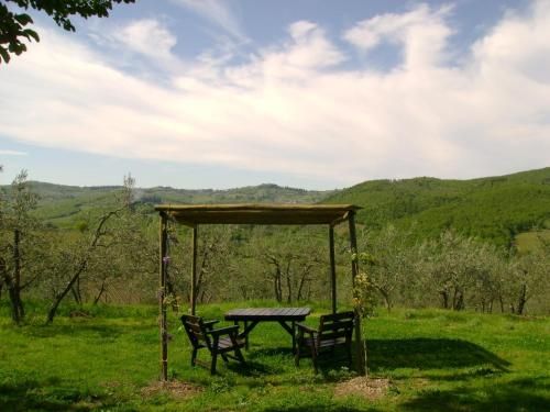 Outdoor Pictures 21