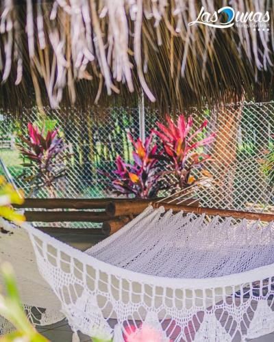 Outdoor Pictures 21