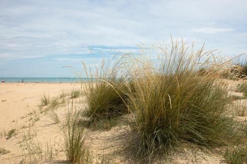 Outdoor Pictures 10