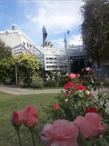 Outdoor Pictures 11