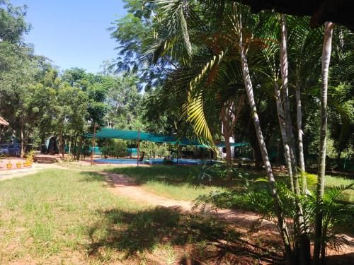 Outdoor Pictures 21
