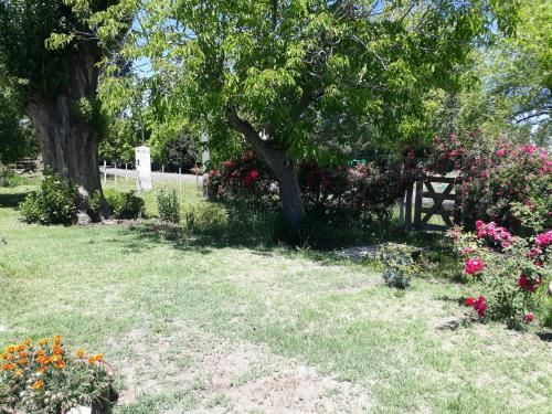 Outdoor Pictures 19