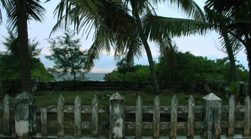 Outdoor Pictures 3