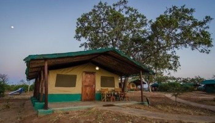 Sentrim Tsavo