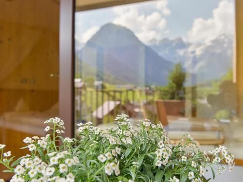 Outdoor Pictures 9