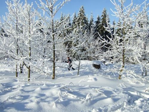 Outdoor Pictures 1