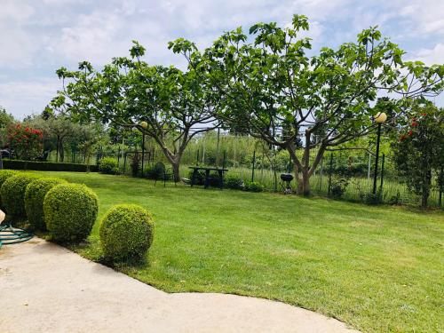 Outdoor Pictures 15